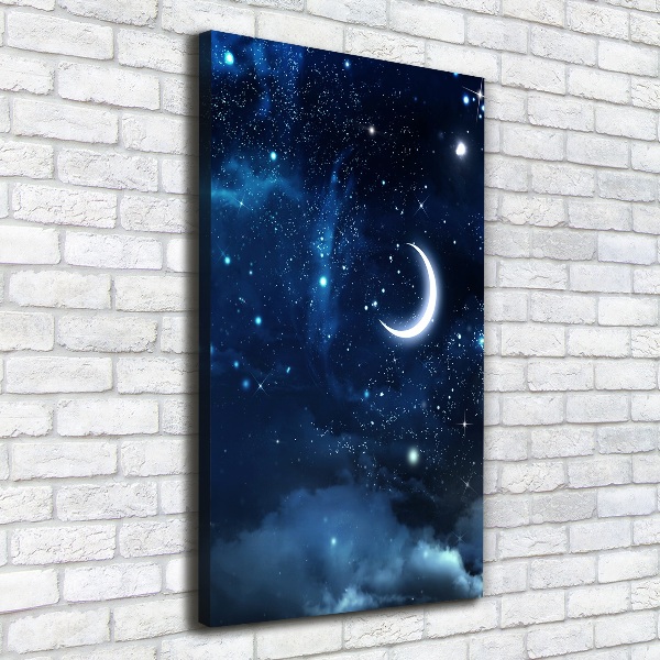 Cuadro canvas decorativo para salón vertical Cielo estrellado