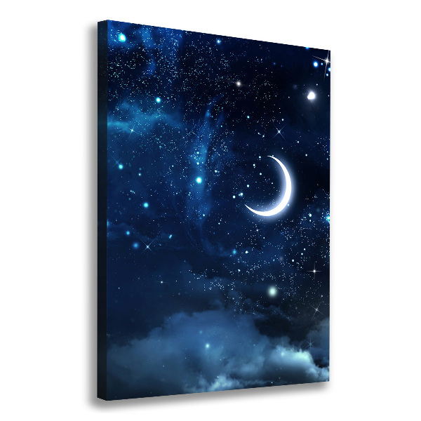 Cuadro canvas decorativo para salón vertical Cielo estrellado