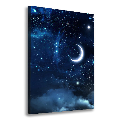 Cuadro canvas decorativo para salón vertical Cielo estrellado