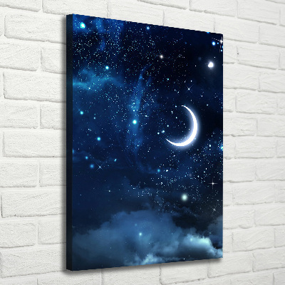 Cuadro canvas decorativo para salón vertical Cielo estrellado