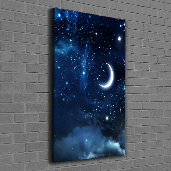 Cuadro canvas decorativo para salón vertical Cielo estrellado