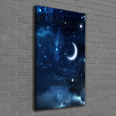 Cuadro canvas decorativo para salón vertical Cielo estrellado