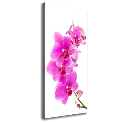 Cuadro canvas decorativo para salón vertical Orquídea rosa