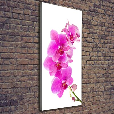 Cuadro canvas decorativo para salón vertical Orquídea rosa