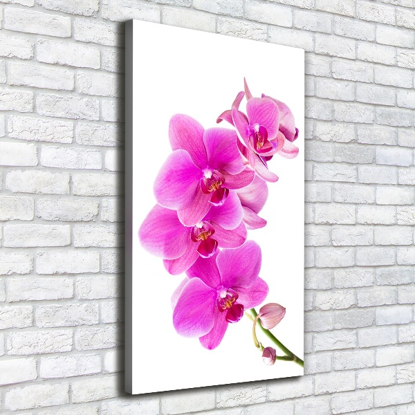 Cuadro canvas decorativo para salón vertical Orquídea rosa
