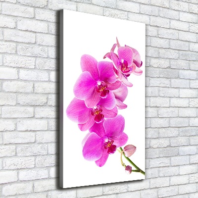 Cuadro canvas decorativo para salón vertical Orquídea rosa