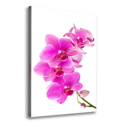 Cuadro canvas decorativo para salón vertical Orquídea rosa
