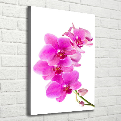 Cuadro canvas decorativo para salón vertical Orquídea rosa
