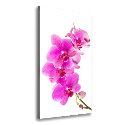 Cuadro canvas decorativo para salón vertical Orquídea rosa