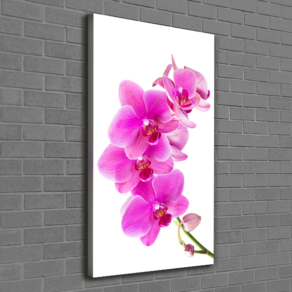Cuadro canvas decorativo para salón vertical Orquídea rosa