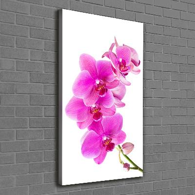 Cuadro canvas decorativo para salón vertical Orquídea rosa