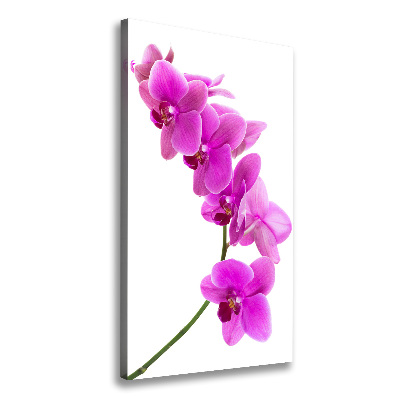 Cuadro moderno en lienzo resistente uv vertical Orquídea rosa
