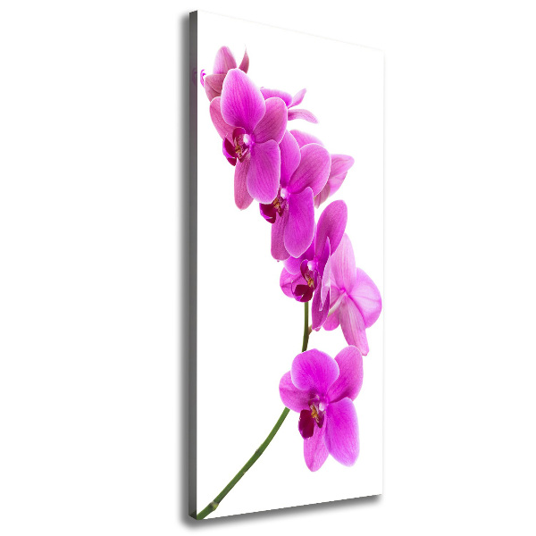 Cuadro moderno en lienzo resistente uv vertical Orquídea rosa