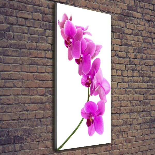Cuadro moderno en lienzo resistente uv vertical Orquídea rosa