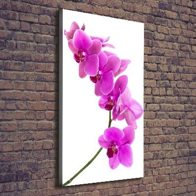 Cuadro moderno en lienzo resistente uv vertical Orquídea rosa