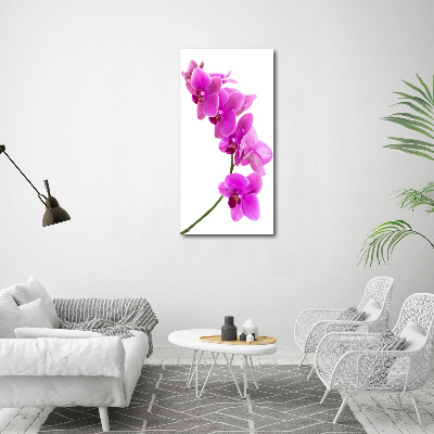 Cuadro moderno en lienzo resistente uv vertical Orquídea rosa