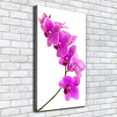 Cuadro moderno en lienzo resistente uv vertical Orquídea rosa