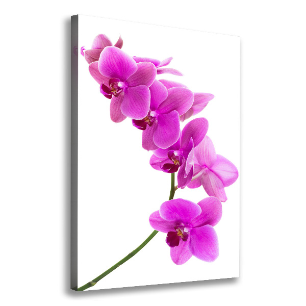 Cuadro moderno en lienzo resistente uv vertical Orquídea rosa