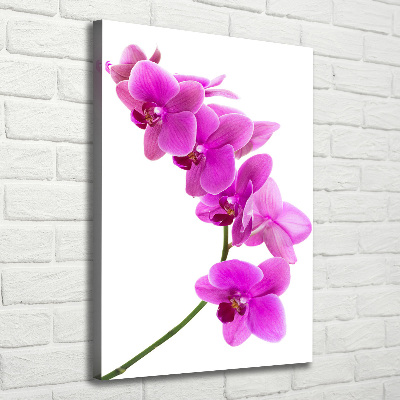 Cuadro moderno en lienzo resistente uv vertical Orquídea rosa
