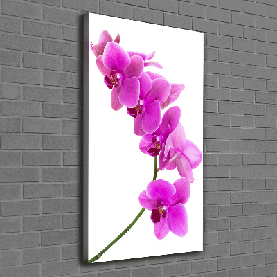 Cuadro moderno en lienzo resistente uv vertical Orquídea rosa