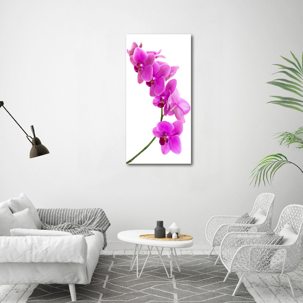 Cuadro moderno en lienzo resistente uv vertical Orquídea rosa