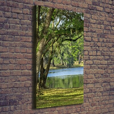 Fotografía en lienzo vertical Lago en el parque
