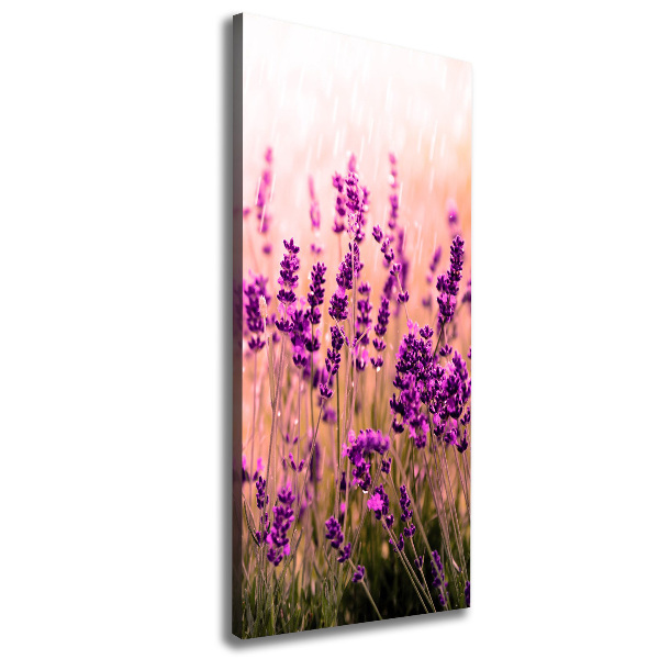 Cuadro moderno en lienzo resistente uv vertical campo de lavanda