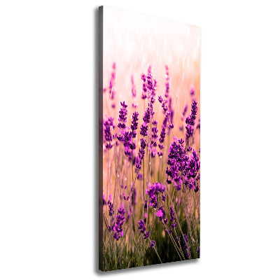 Cuadro moderno en lienzo resistente uv vertical campo de lavanda