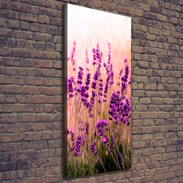 Cuadro moderno en lienzo resistente uv vertical campo de lavanda