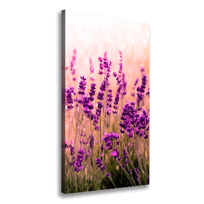 Cuadro moderno en lienzo resistente uv vertical campo de lavanda