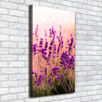 Cuadro moderno en lienzo resistente uv vertical campo de lavanda