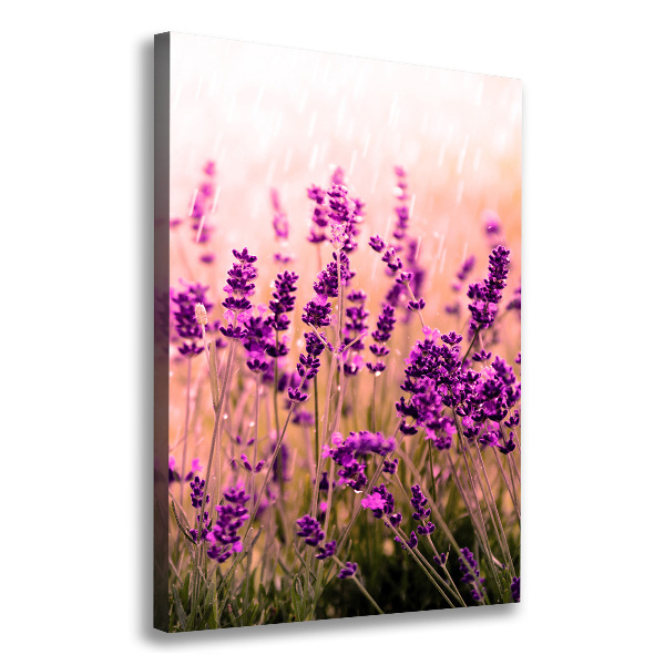 Cuadro moderno en lienzo resistente uv vertical campo de lavanda