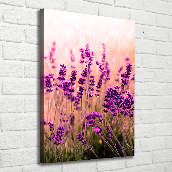 Cuadro moderno en lienzo resistente uv vertical campo de lavanda