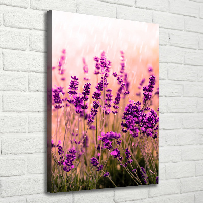 Cuadro moderno en lienzo resistente uv vertical campo de lavanda