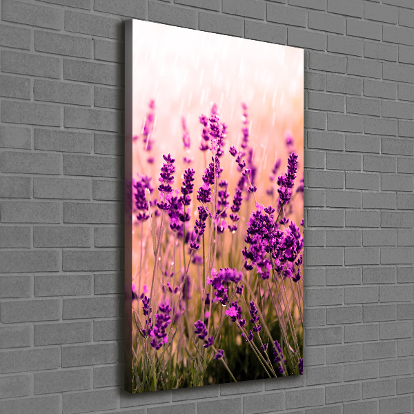 Cuadro moderno en lienzo resistente uv vertical campo de lavanda