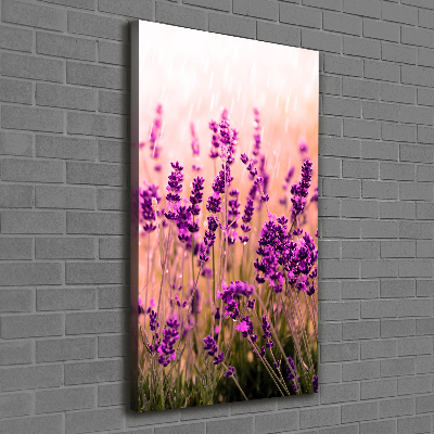 Cuadro moderno en lienzo resistente uv vertical campo de lavanda