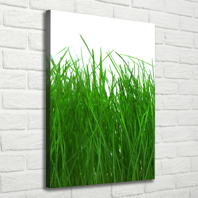 Fotografía en lienzo vertical Césped