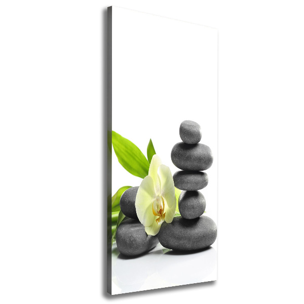 Cuadro canvas decorativo para salón vertical Orquídea y piedras