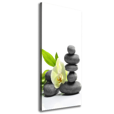 Cuadro canvas decorativo para salón vertical Orquídea y piedras