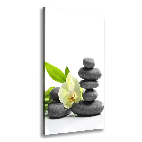 Cuadro canvas decorativo para salón vertical Orquídea y piedras