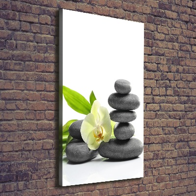 Cuadro canvas decorativo para salón vertical Orquídea y piedras