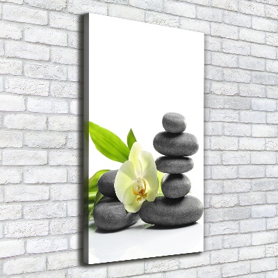 Cuadro canvas decorativo para salón vertical Orquídea y piedras