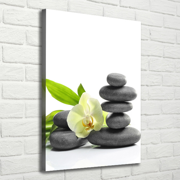 Cuadro canvas decorativo para salón vertical Orquídea y piedras