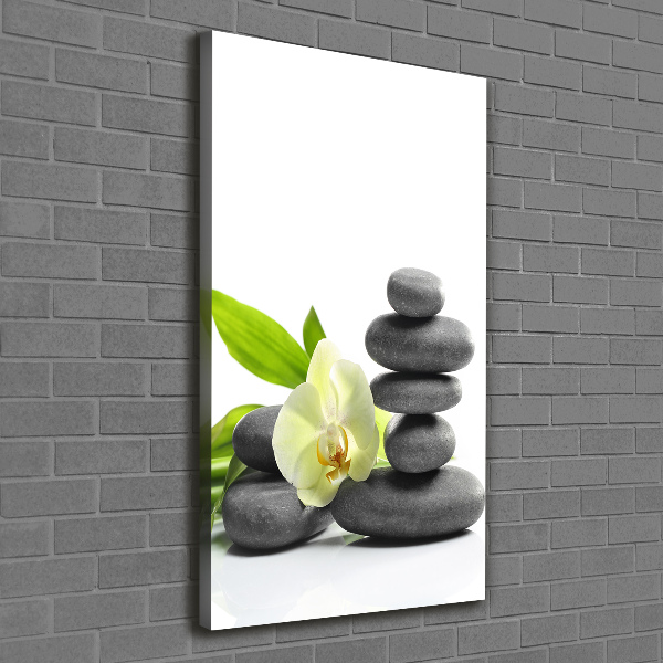 Cuadro canvas decorativo para salón vertical Orquídea y piedras