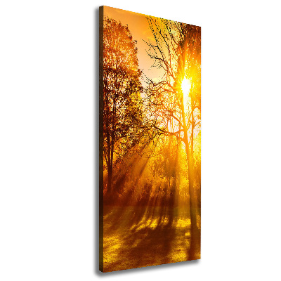 Cuadro canvas decorativo para salón vertical Parque en otoño