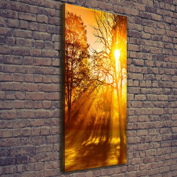 Cuadro canvas decorativo para salón vertical Parque en otoño