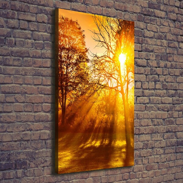 Cuadro canvas decorativo para salón vertical Parque en otoño