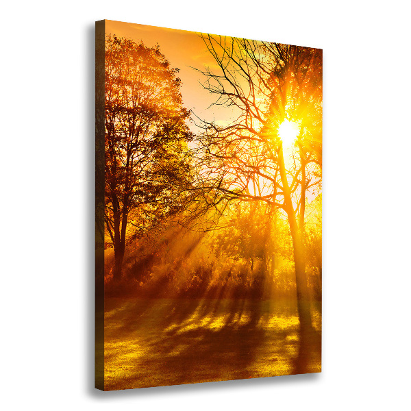 Cuadro canvas decorativo para salón vertical Parque en otoño