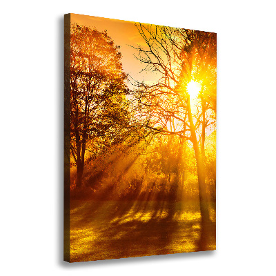 Cuadro canvas decorativo para salón vertical Parque en otoño