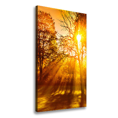 Cuadro canvas decorativo para salón vertical Parque en otoño